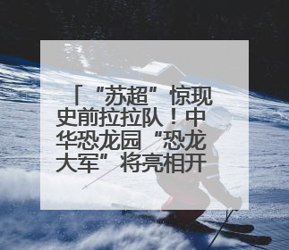 “苏超”惊现史前拉拉队！中华恐龙园“恐龙大军”将亮相开幕式